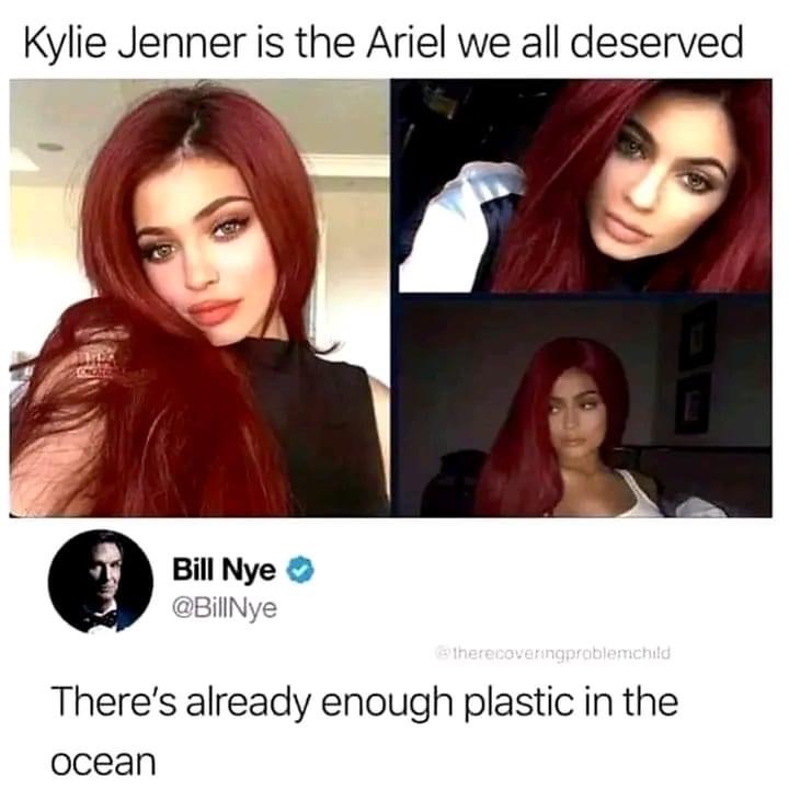 Immagine ironica: è raffigurata Kylie Jenner e un post sostiene che fosse la Sirenetta che mertitavamo. Un utente commenta che c'è già abbastanza plastica nel mare (alludendo ai suoi ritocchi estetici).